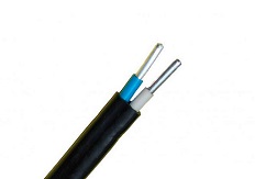 АВВГ-П 2х10,0 ок(N)-0,66 (Алюр)